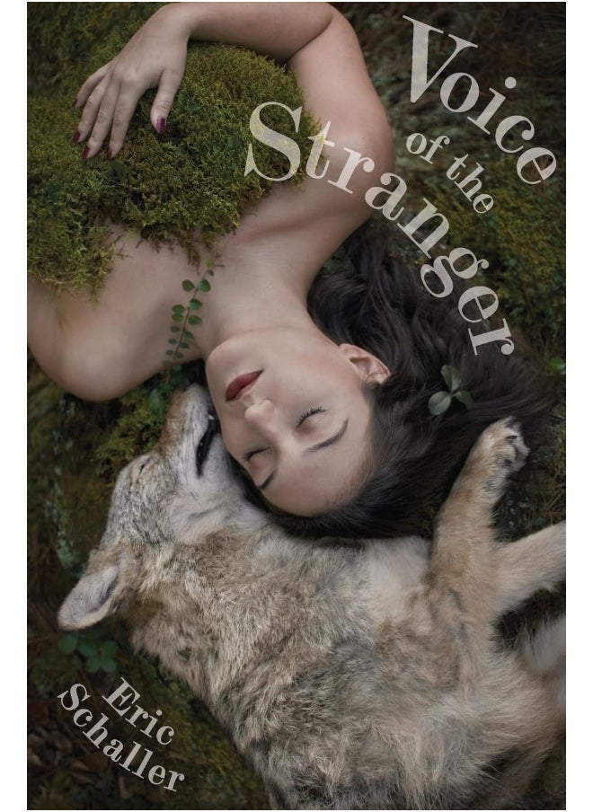 Lethe Press Voice of the Stranger 