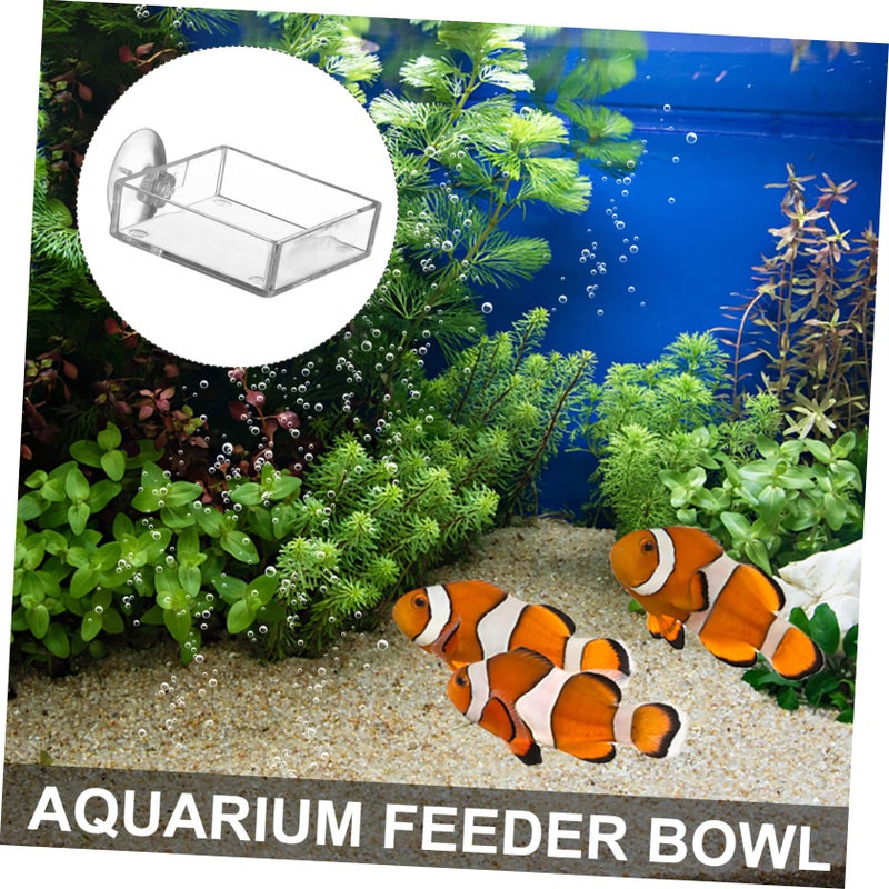 4pcs Fish Feeder Bowl With Suction Cup For Shrimp Tank Compact Feeding Tray Easy Install Clean - Image 4