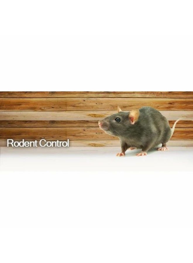 Goodbye Rat Control Glue 3 + 1 FREE - Image 2