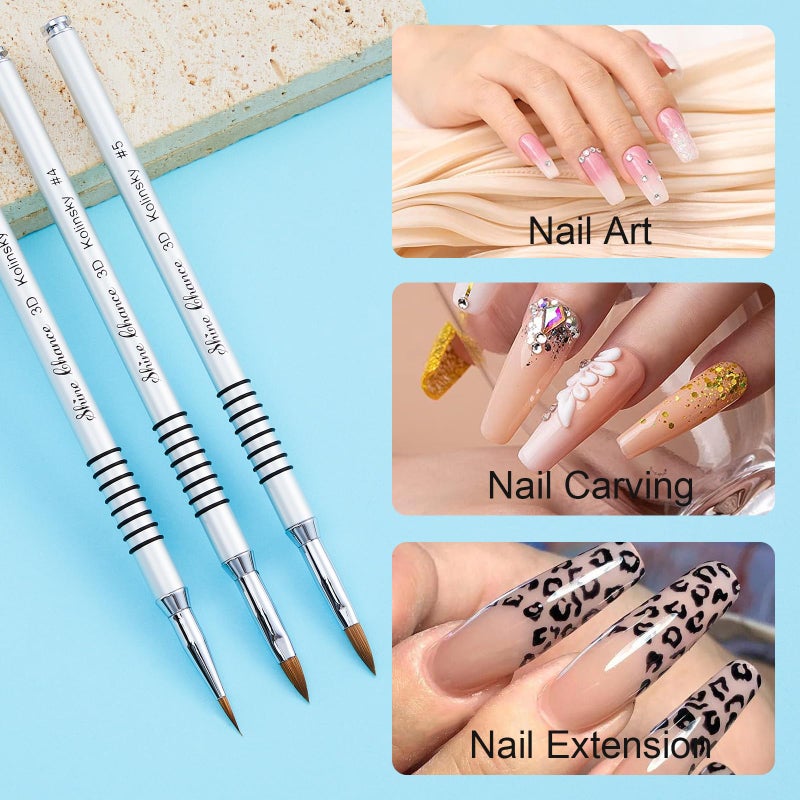 Shine Chance 3Pcs 3D Nail Brushes Set Size 2 4 5, Kolinsky Hair Acrylic Flower Nail Art Brush, Art Design & Polish Mistake Cleaning Manicure Tools for Women Acrylic Application, Silver - Image 2