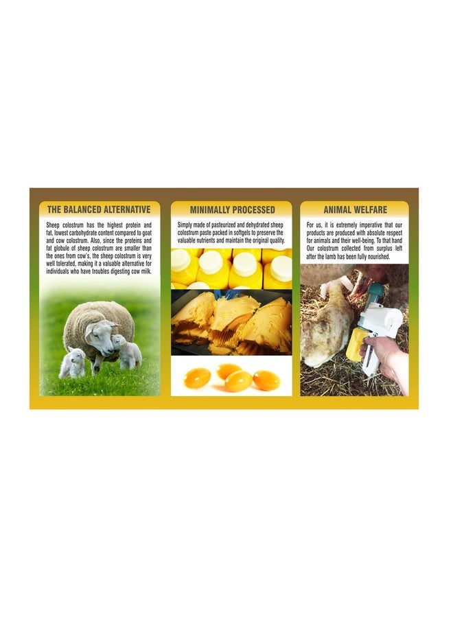 PHARMAKON Organic Sheep Colostrum Supplement - Image 3