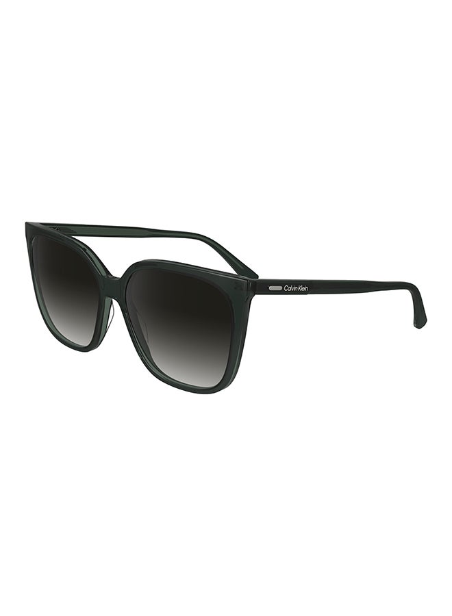 CALVIN KLEIN Full Rim Acetate Calvin Klein Sun Ck24509S N 5616 (339) Green/Mint - Image 1