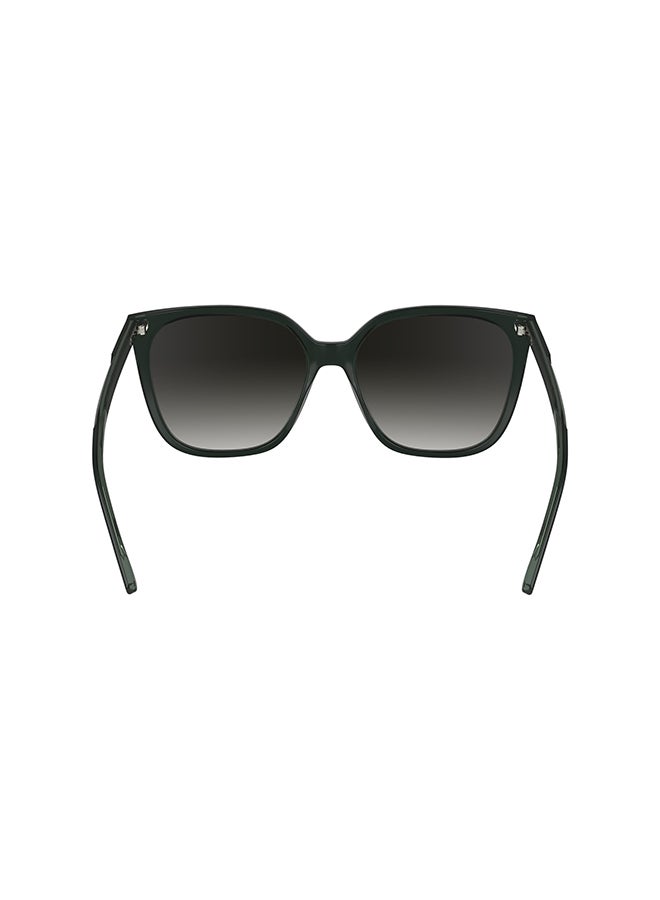 CALVIN KLEIN Full Rim Acetate Calvin Klein Sun Ck24509S N 5616 (339) Green/Mint - Image 3