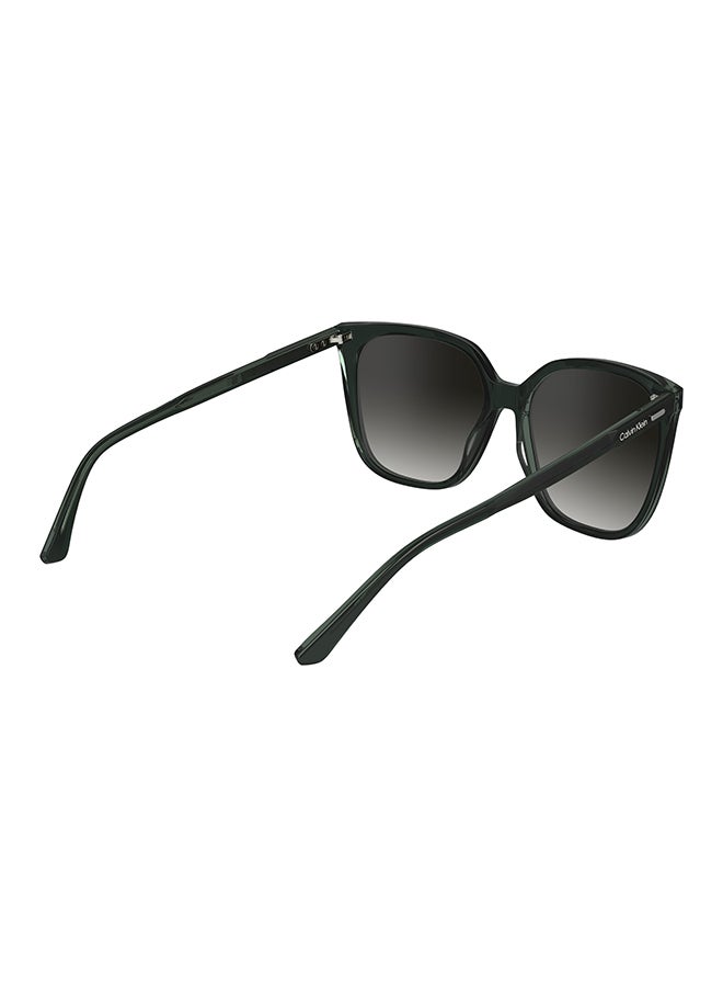 CALVIN KLEIN Full Rim Acetate Calvin Klein Sun Ck24509S N 5616 (339) Green/Mint - Image 4