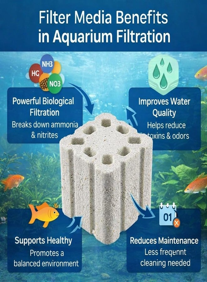 الطبيعة المائية مكعبات وسائط بيولوجية سيراميكية مسامية من AquaNature®، مكعبات نانو بيولوجية، وسائط ترشيح سيراميكية، مكعبات بيولوجية لأحواض المياه العذبة والمالحة، 4x4 سم - NX-57 (عبوة من قطعتين) - Image 2