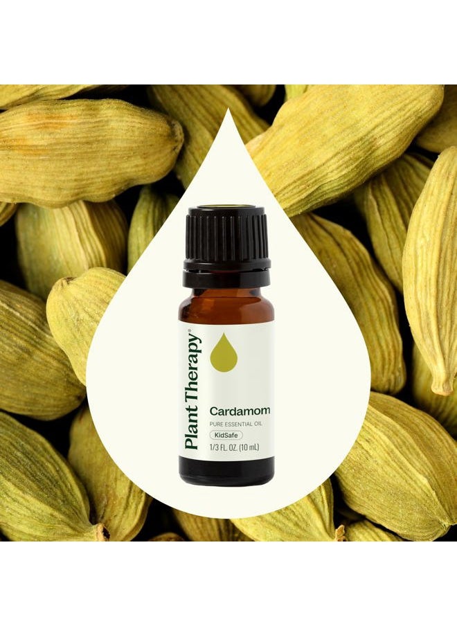 Plant Therapy Cardamom Essential Oil 10 mL (1/3 oz) 100% Pure, Undiluted, Therapeutic Grade  - Image 3