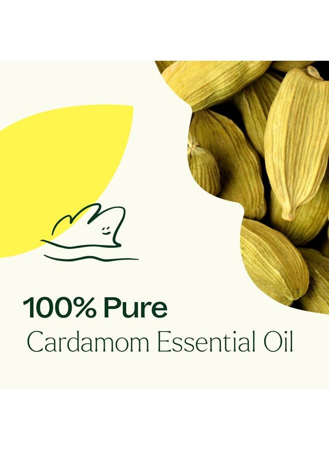 Plant Therapy Cardamom Essential Oil 10 mL (1/3 oz) 100% Pure, Undiluted, Therapeutic Grade  - Image 4
