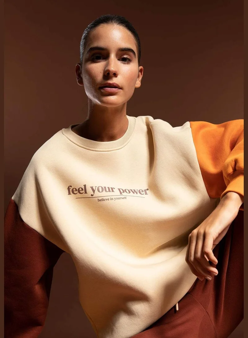 DeFacto Woman Oversize Fit Crew Neck Long Sleeve Knitted Sweatshirt
