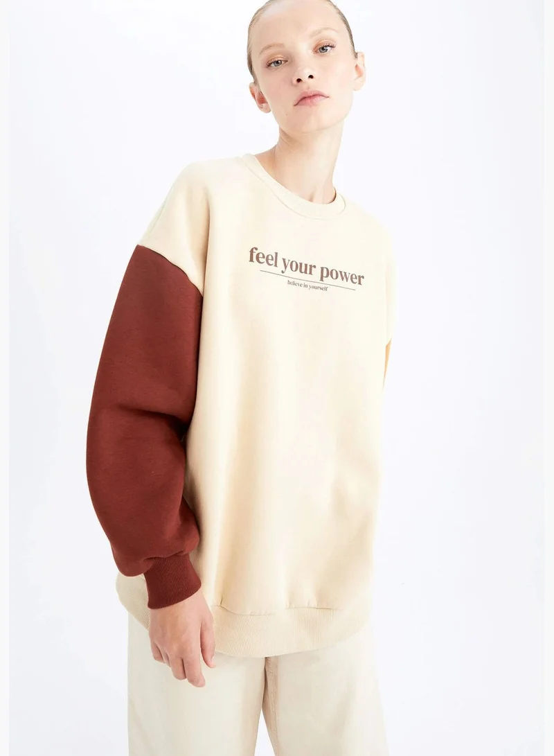 DeFacto Woman Oversize Fit Crew Neck Long Sleeve Knitted Sweatshirt