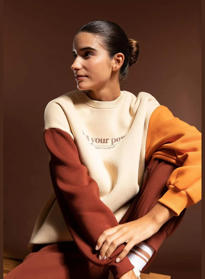 DeFacto Woman Oversize Fit Crew Neck Long Sleeve Knitted Sweatshirt