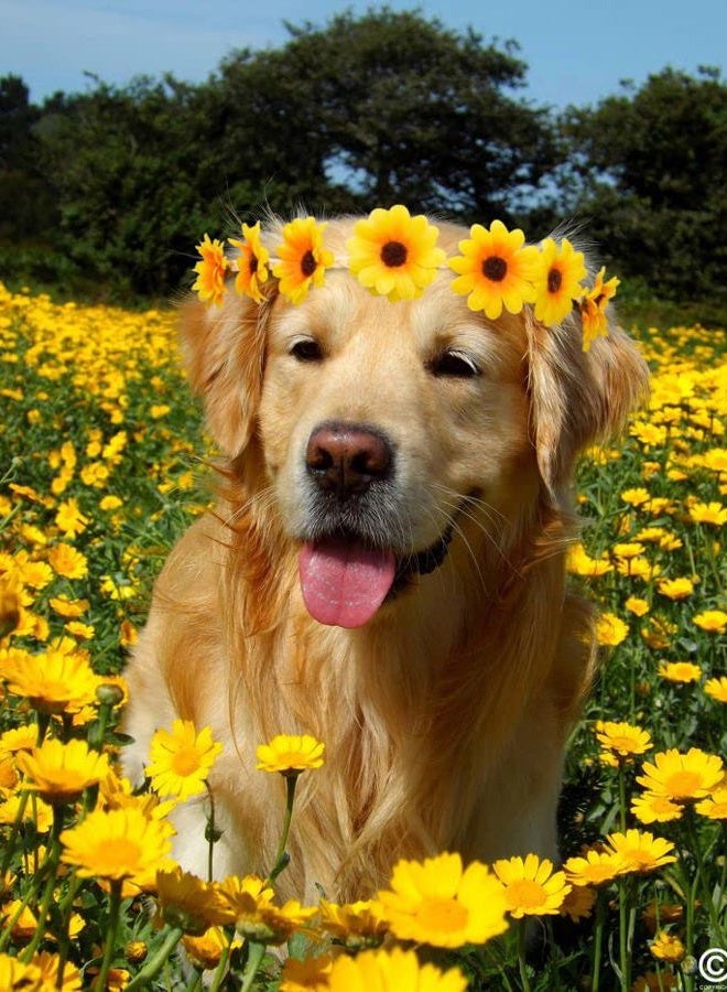 WOVOWOVO 2 Packs Sunflower Crown Headbands For Women Girls, Floral Daisy Hippie Hair Accessories Fall Flower Crown Adjustable Handmade Headpiece Photo Props Party Vacation (Yellow) - Image 5