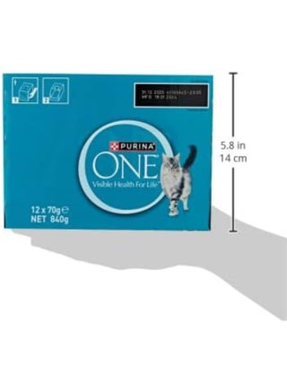 PURINA ONE طعام رطب للقطط البالغة الصحية مع سمك المحيط 70 جرام عبوة من 12 - view 3