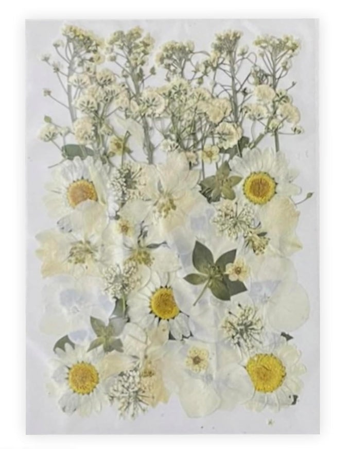 NATURAL REAL DRIED FLOWERS FOR ART CRAFT MIXED MULTICOLOR FOR SOAP ARTIFICIAL CANDLES SCRAPBOOKING DIY RESIN JEWELRY PENDANT 1 SHEET WHITE