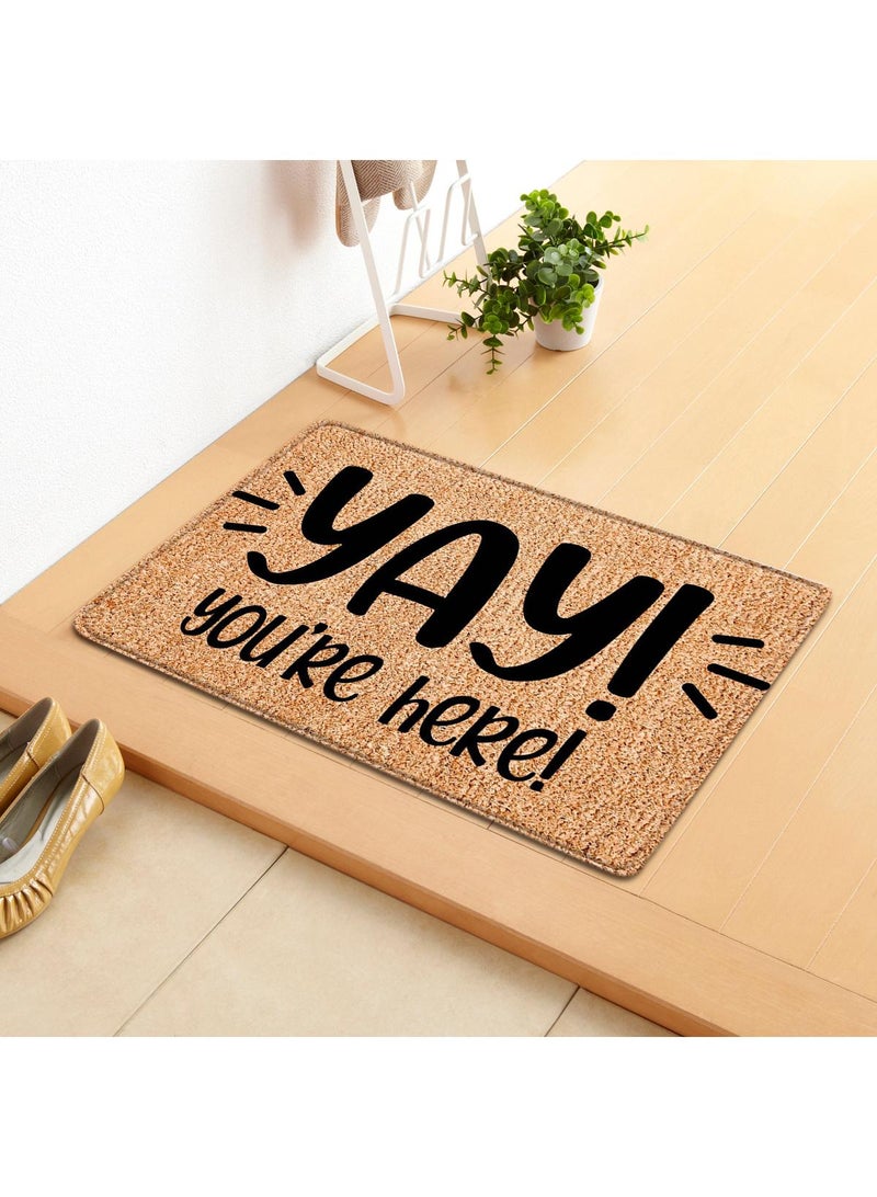 Bluejw Indoor Door Mat Durable Front Door Mats For Entryway Non Slip Absorbent Resist Dirt Entry Rug Doormat Indoor Entrance Machine Washable - Image 1
