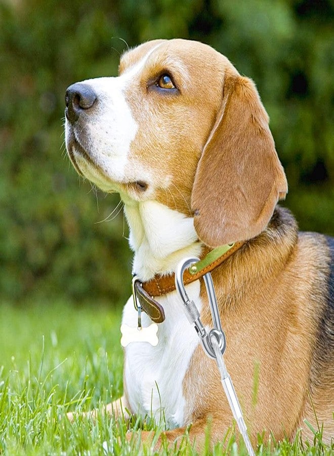 BIRZAR 50Ft Reflective Dog Tie Out Cable for Dogs Up to 250 Pounds, Steel Wire Dog Leash Cable with Stainless Dual Fix Buckle, Lightweight and Durable, Dog Chains Outside for Outdoor,Yard,Camping - Image 5