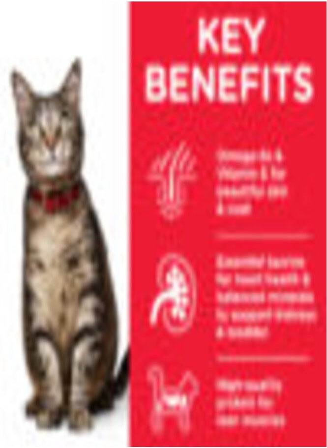 Hills Hill’s Science Plan Adult Cat Food With Chicken (1.5 Kg)  - Image 2