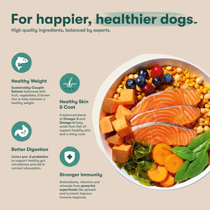 Jinx Premium Grain-Free Dry Dog Food, for All Lifestages - Real Salmon, Sweet Potato & Carrot Puppy Kibble with Superfoods for Immune Support & Probiotics for Digestive Support - No Fillers - 4lb - Image 3