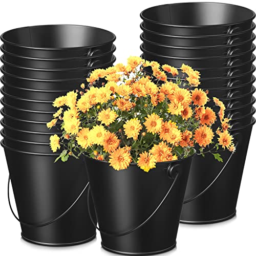 24 Pcs Mini Metal Buckets Black Small Bucket Galvanized Pail Iron Flower Pot Pencil Holder with Handles for Party Favors Black Wedding Decor Easter Centerpieces Craft Candy Bars Vase Classroom