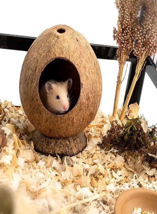 Eco-Friendly Hanging Bird Nest with Jute Rope - Image 3