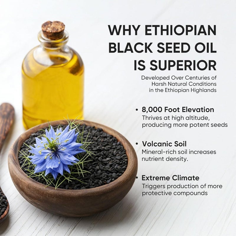 PURELYNUTRIENT Ethiopian Black Seed Oil Capsules 4.64% Thymoquinone – Purely Nutrient Organic Cold Pressed Black Cumin Seed Oil Softgels, Non-GMO, Gluten-Free, 60 Softgels - Image 2