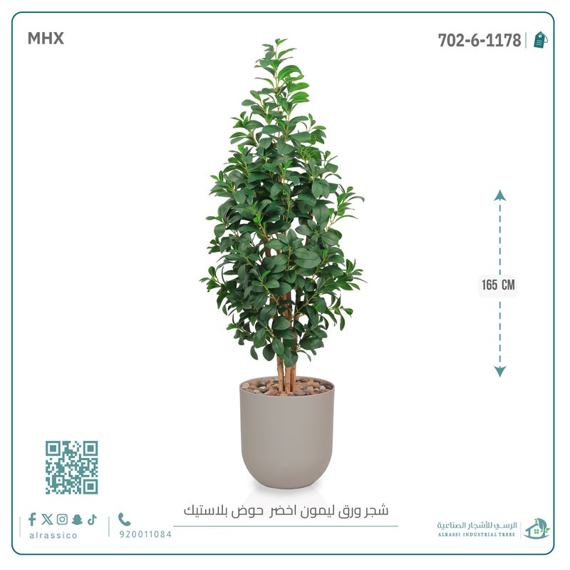 Alrassi Artificial Lemon Leaf Seedling in Cylindrical Plastic Pot 165 cm - Image 1