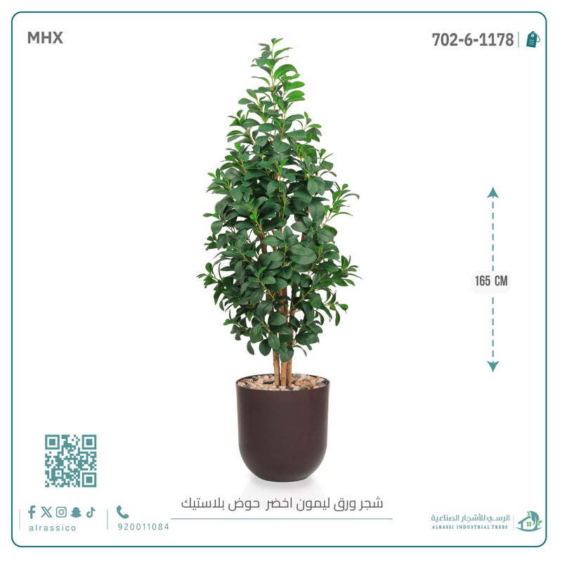 Alrassi Artificial Lemon Leaf Seedling in Cylindrical Plastic Pot 165 cm - Image 4