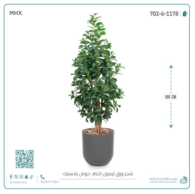Alrassi Artificial Lemon Leaf Seedling in Cylindrical Plastic Pot 165 cm - Image 3