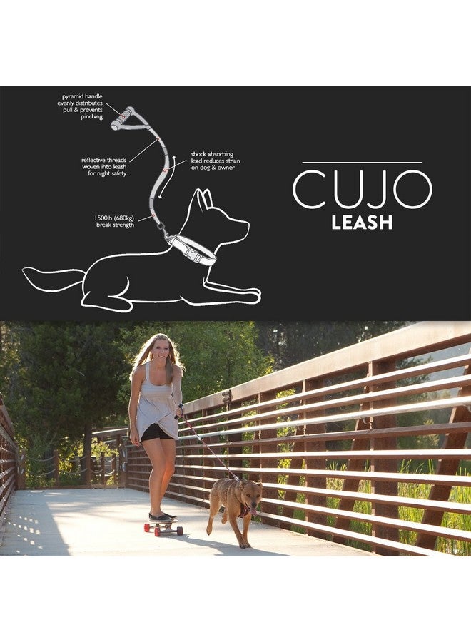 إيزي دوج مقود الكلب EzyDog Cujo الممتص للصدمات - أفضل حبل لتدريب الكلاب - حواف عاكسة للسلامة الليلية - مقبض سحب مبطن لراحة وتحكم فائقين (25 بوصة، أسود) - Image 3