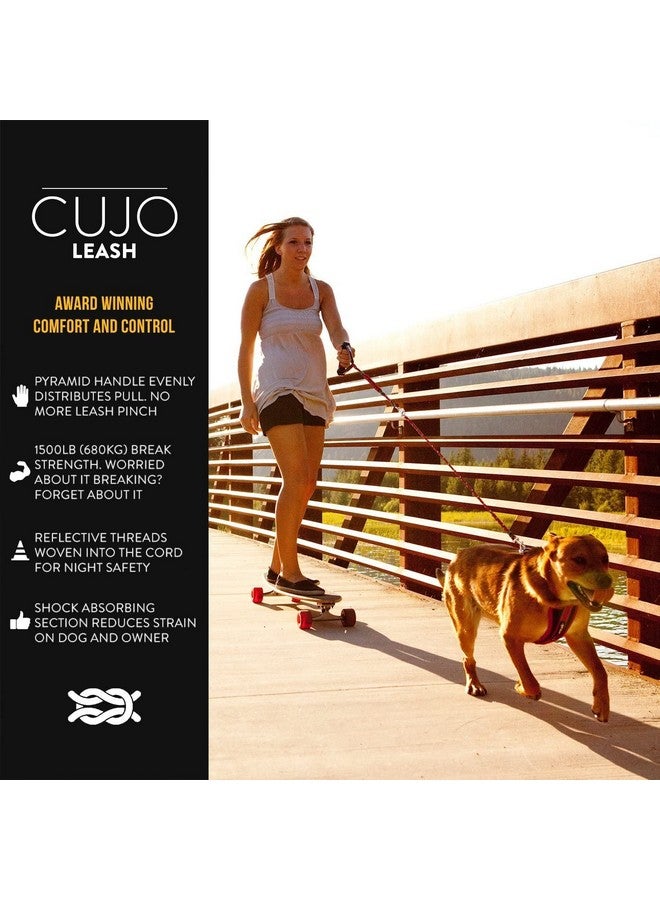 إيزي دوج مقود الكلب EzyDog Cujo الممتص للصدمات - أفضل حبل لتدريب الكلاب - حواف عاكسة للسلامة الليلية - مقبض سحب مبطن لراحة وتحكم فائقين (25 بوصة، أسود) - Image 2