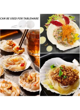 15 pcs Natural Scallop Shells 2-3 inch White Sea Shells from Sea Beach for DIY Craft Home - view 5