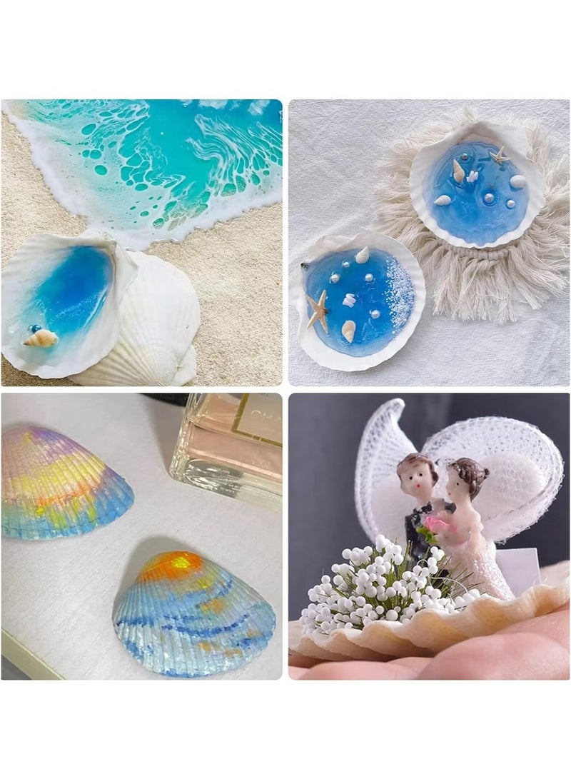 OMEVE 15 pcs Natural Scallop Shells 2-3 inch White Sea Shells from Sea Beach for DIY Craft Home - Image 2