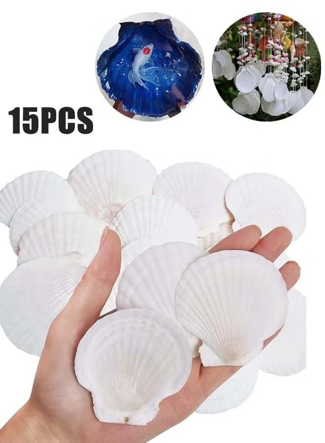 OMEVE 15 pcs Natural Scallop Shells 2-3 inch White Sea Shells from Sea Beach for DIY Craft Home - Image 1