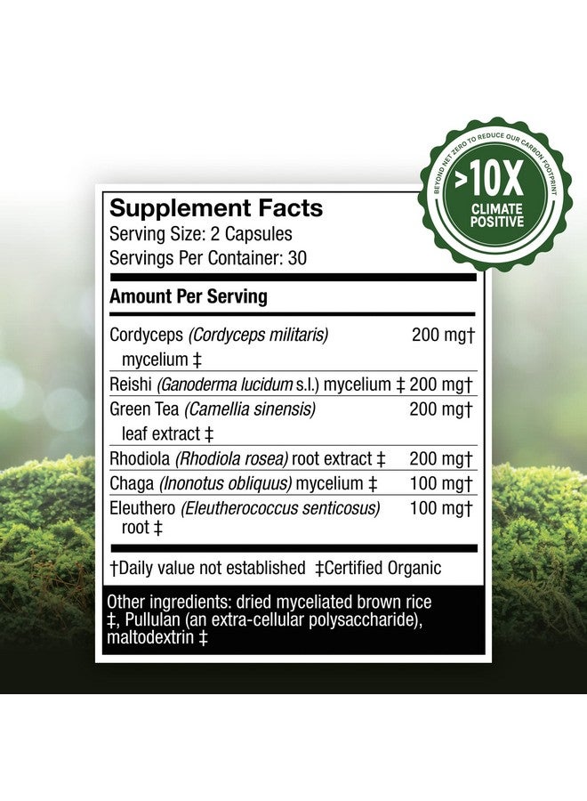 Host Defense Mycobotanicals Energy Capsules Promotes Immediate And Sustained Energy Mushroom Supplement 60 Capsules Unflavored - Image 3