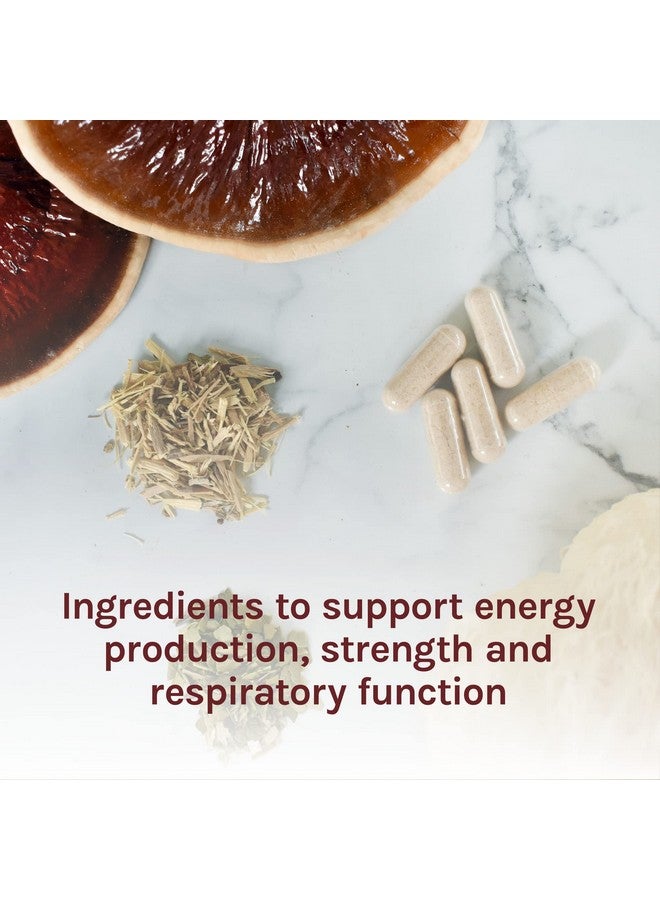 Host Defense Mycobotanicals Energy Capsules Promotes Immediate And Sustained Energy Mushroom Supplement 60 Capsules Unflavored - Image 5