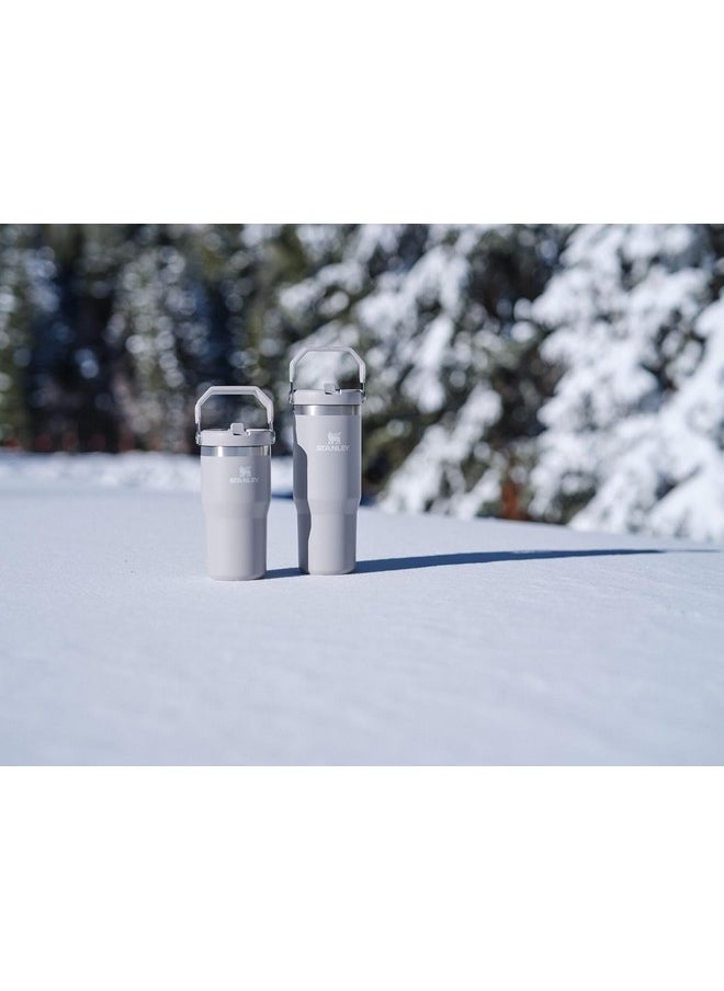 Stanley - Iceflow Flip Straw Tumbler With Handle 20 Oz | Twist On Lid And Flip Up Straw | Leak Resistant Water Bottle | Insulated Stainless Steel |Bpa-Free | Ash - Image 1