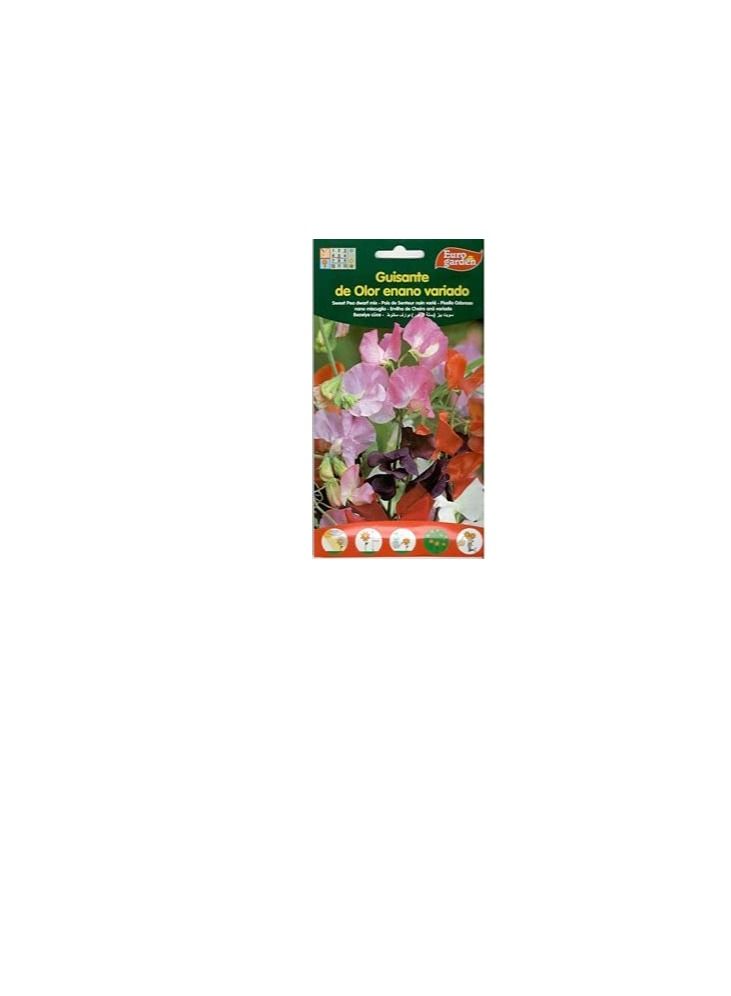 Euro Euro Garden Sweet Peas tall mix - Image 1