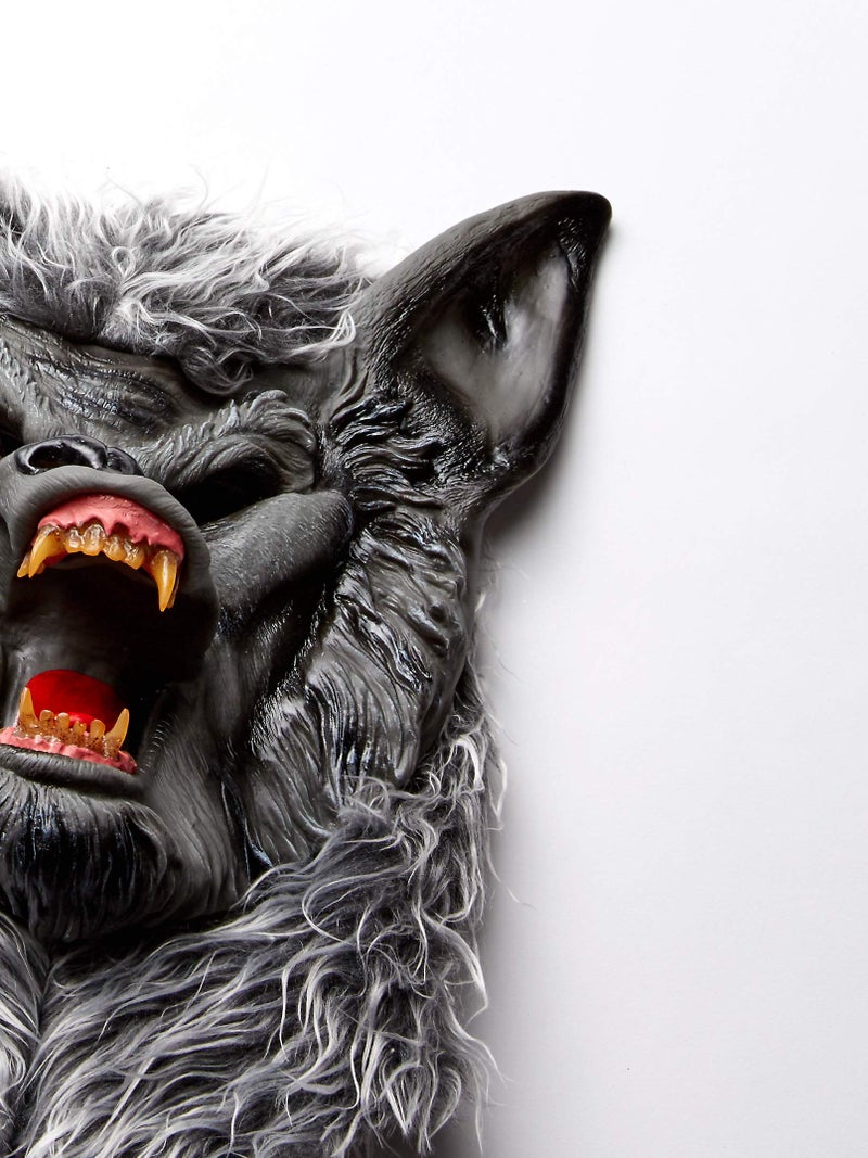 Fun World Mens Silver Werewolf Adult Sized Costumes, Multi-colored, One Size US - Image 5