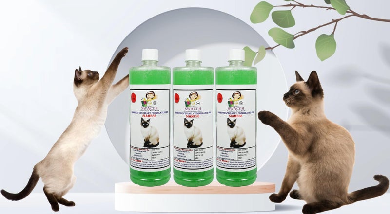 SWACCH Shampoo Specially FORMULATED for Siamese Cat (1 Litre) (Pack of 3) NEEM ALOVERA - Image 2