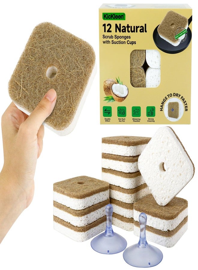 kickleen 12Pack Kickleen Natural Kitchen Scrub Dish Sponge with Suction Hanger Biodegradable Compostable Cellulose and Coconut Non-Scratch Sponge for Kitchen, Bathroom, Household (White-12) - Image 1