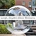 Efay Clear Balloons Large 10 Pcs Wide Neck PreStretched Big Giant Transparent Bubble Balloons Crystal Transparent Clear Bobo Balloons for stuffing - Image 2