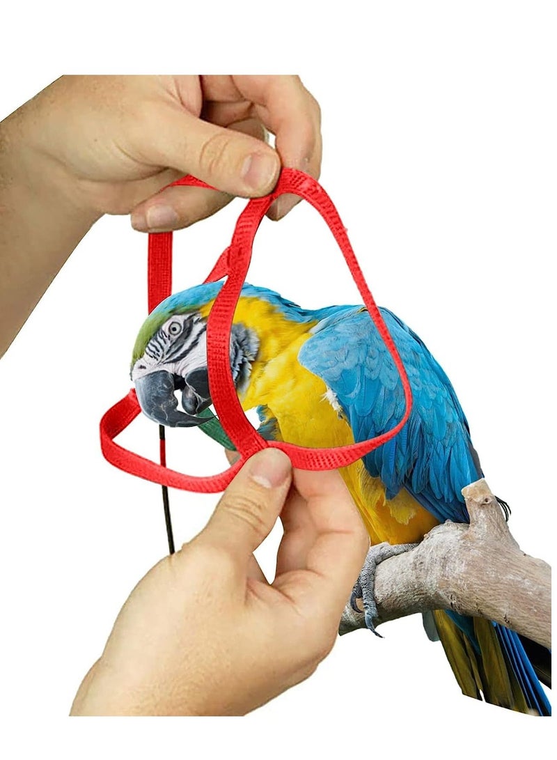 SYOSI Bird Training Leash Adjustable Parrot Flying Strap Rope Universal Flying Traction Lead Durable Outing Gadget Outdoor Training Toy for Birds - Image 3