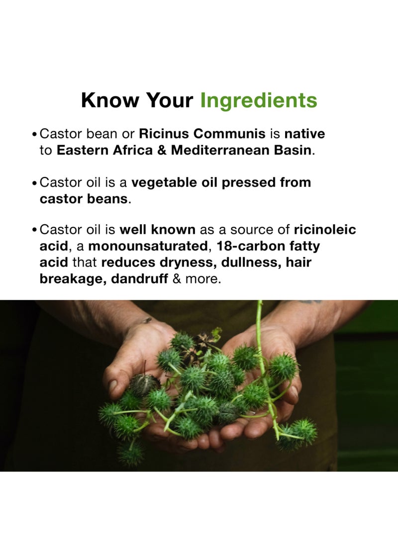 Soulflower Organic Castor Hair Oil For Thicker And Stronger Hair, Cold Pressed, Clinically Certified, Thick Eyebrows And Eyelashes, Moisturizing And Nourishing  - Image 2