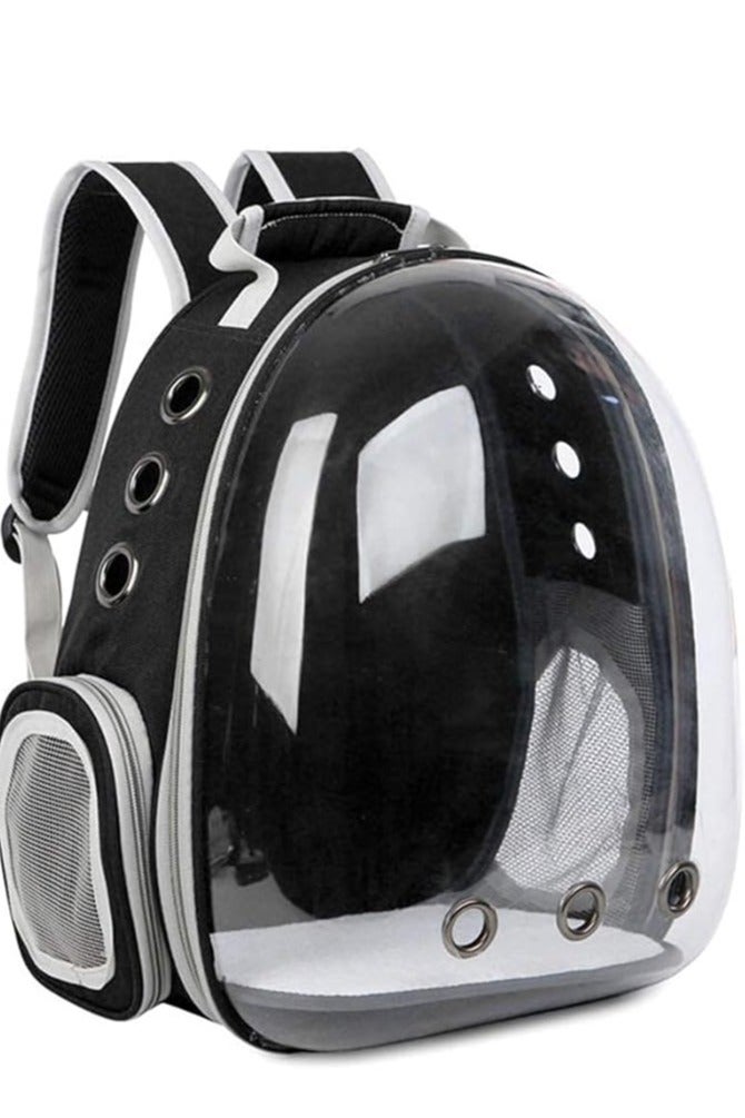 حقيبة ظهر القط