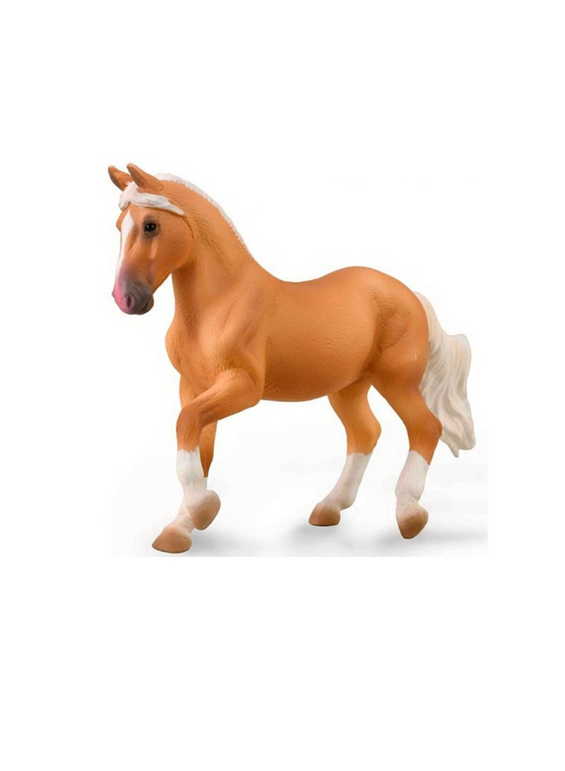 COLLECTA PASO FINO MARE