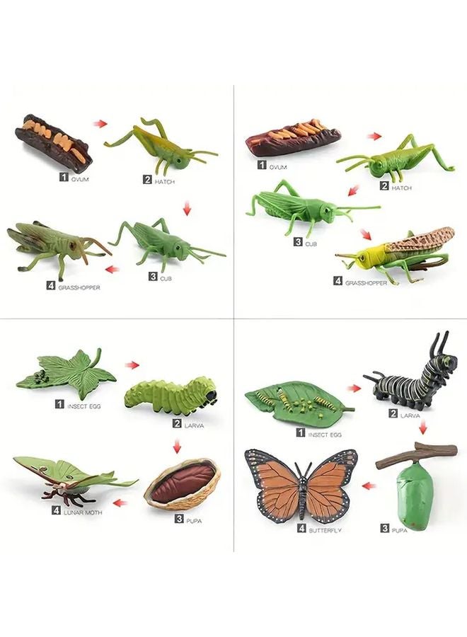 Life Cycle Growth Simulation Insect Model Toys 2430 Mantis Kindergarten Teaching Aid - Image 5