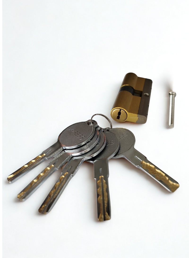 Siag Xpress Computer Door Cylinder 9 cm