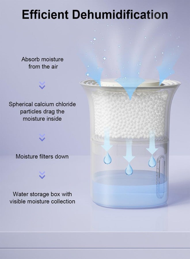 CLEVAST Refillable Moisture Absorber Boxes, 4 Pack 12.5 oz Reusable Dehumidifier for Closet, Bathroom & Wardrobe, Removes Excess Moisture, Odor & Humidity - Image 3