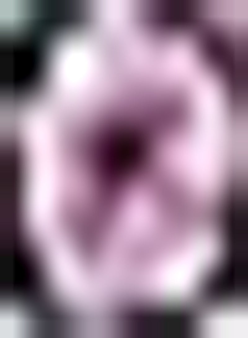 GGOOT 200Stück rosafarbene Petunien Samen schmücken den Gartenhof bezaubernde Landschaft zieht Augäpfel an einfache Pflanze mehrjährig mit dekorativem wirtschaftlichem Wert - Image 1