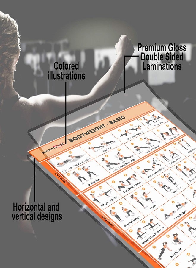 SPORTAXIS- No-Equipment Laminated Body Weight Workout Poster with Coloured Illustrations- Home Workout Posters for Men and Women - Body Weight Basic Poster-18"x 27" - Image 3
