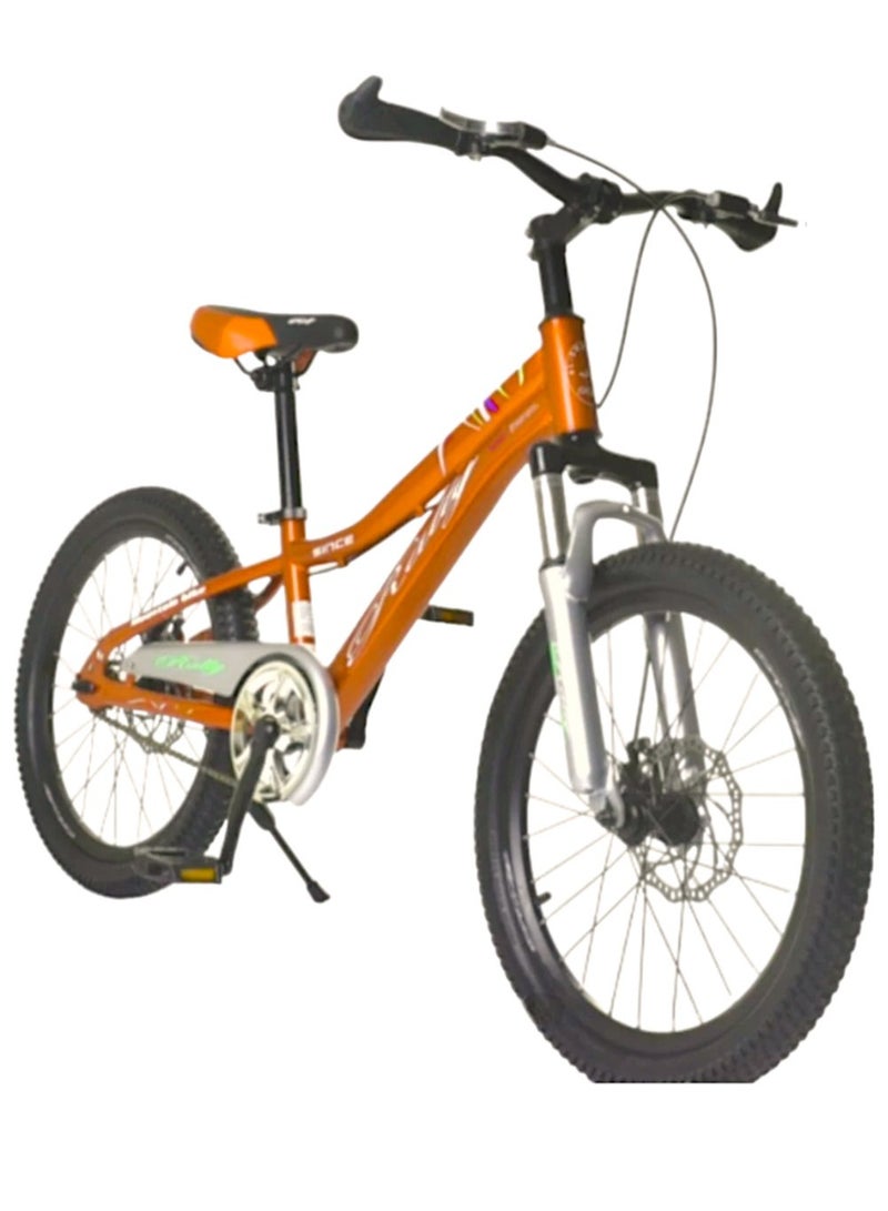 Rally Classic Metallic Bicycle With Disc Brakes Size 20 For Kids